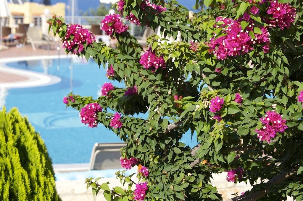 Pilot'S Villas Luxury Suites Hersonissos  Exteriör bild